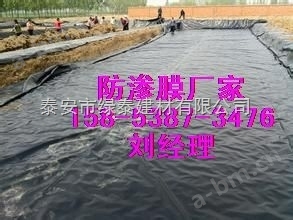 *供应（景观湖用防渗膜）漳州土工膜厂家